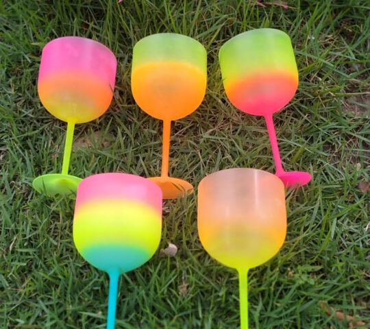 Martins Designer e Sublimação